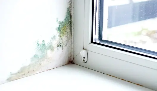 Water damage restoration disinfection climate control solutions by Dantherm Group