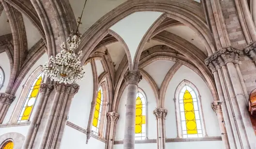 Disinfection for water damage in historic buildings