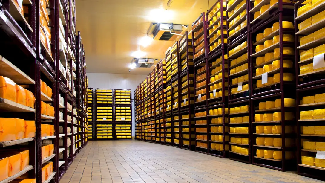 Humidity control and drying for cheese and dairy processing