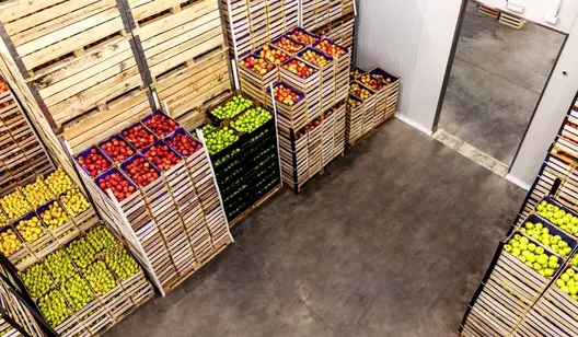 Gemüse in Holzkisten gelagert