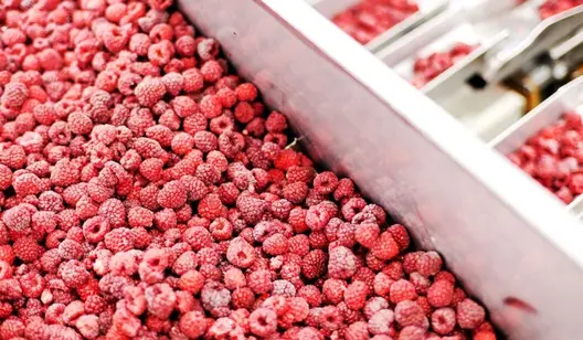 Himbeeren in einer Kiste