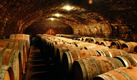 Humidity control and drying for breweries and wineries