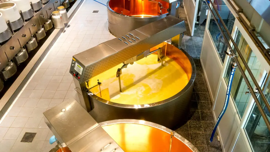 Ventilation for cheese and dairy processing
