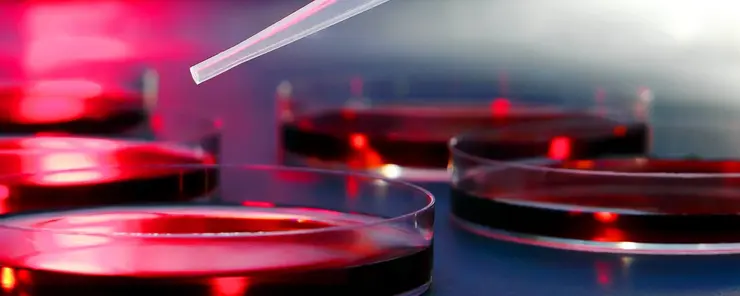 Controllo dell'umidità e asciugatura per strutture di ricerca e sviluppo