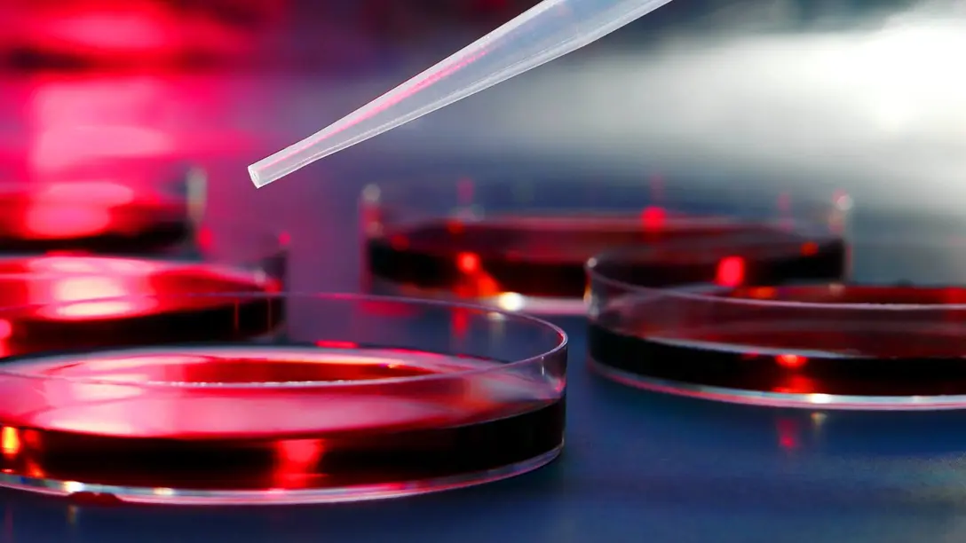 Humidity control and drying for research and development facilities