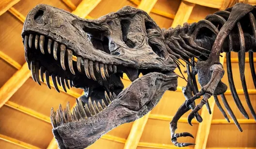 Humidity control and drying for travelling exhibitions