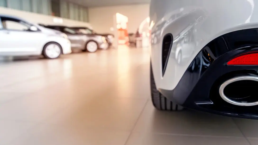 Humidity control and drying for dealerships and car showrooms