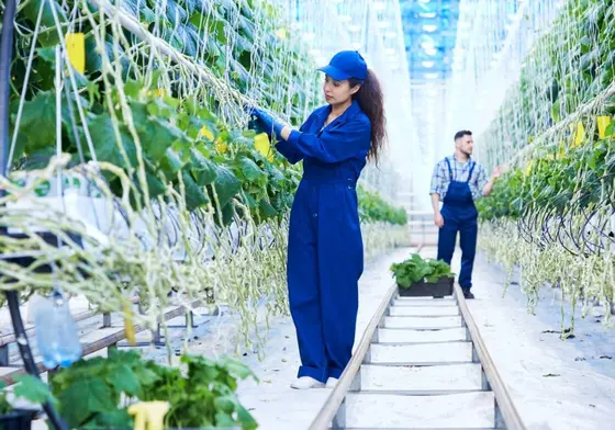 T3 styrer luftfugtigheden for at optimere plantevæksten i dine drivhuse