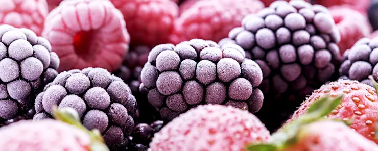 Humidity control and drying for frozen food packing and transport