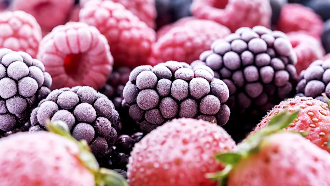 Kontrola wilgotności i osuszanie dla ten pakowania i transportu mrożonek