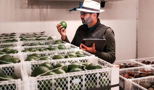 Kontrola wilgotności i osuszanie dla logistyce łańcucha chłodniczego