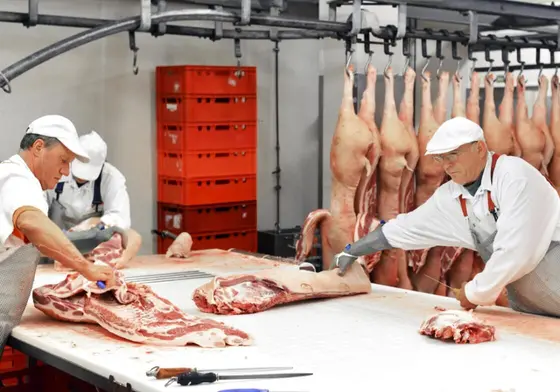 Pozostań po bezpiecznej stronie dzięki wiodącej gamie systemów oczyszczania powietrza