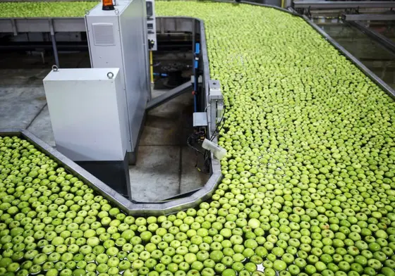 T3 keep moisture levels in check to protect workers and frozen food products