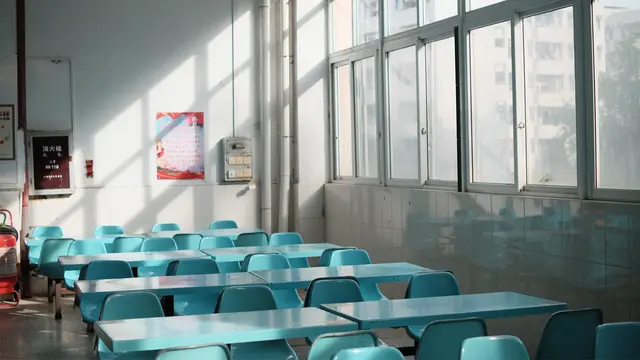 Insights Content schools