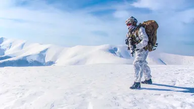 Insights Content Military cold