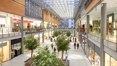 Insights Content retail