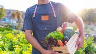 Insights content sustainable food