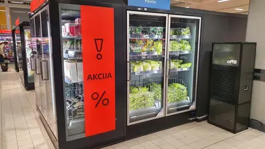 Insikter Master torkning stormarknad