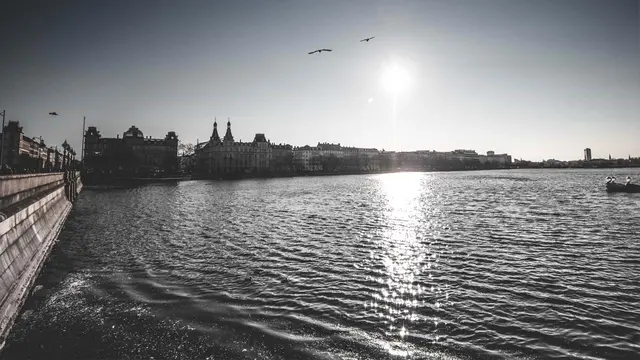 Insights Sortedam Lake