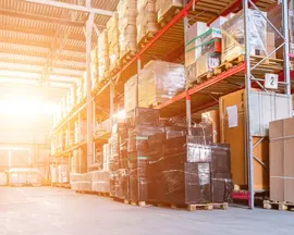 Insights Warehouse Sun