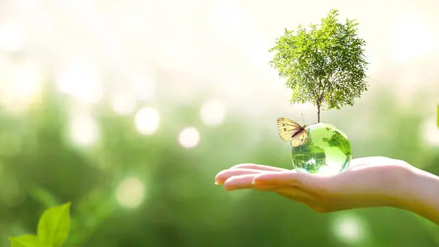 Insights Content energy savings