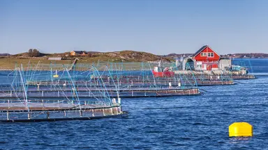 Insights Content Norway Fishing