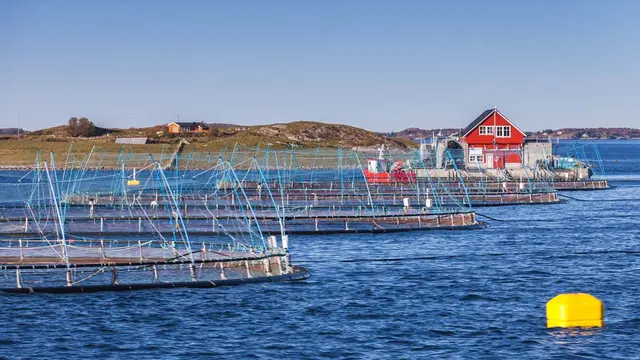 Insights Content Norway Fishing