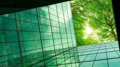 Insights Content CO2 green building