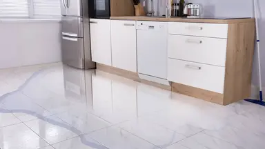 Dantherm WDR kitchen web