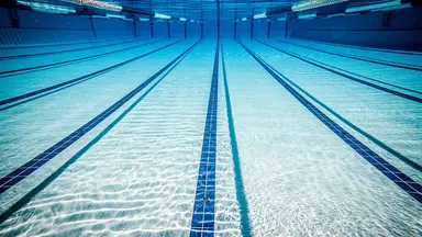 Shutterstock 161204561 for web