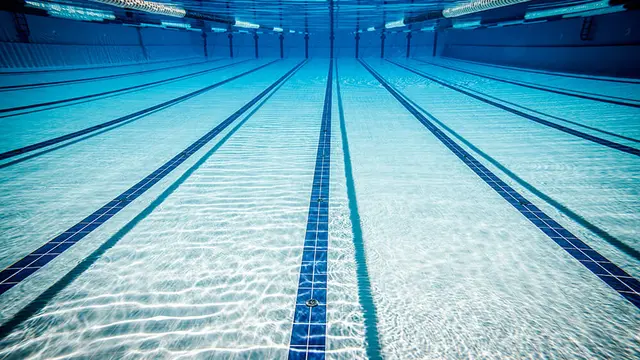 Shutterstock 161204561 for web