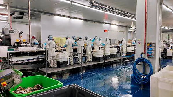 Mare Deus after installation