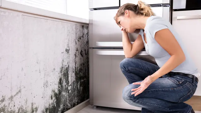 Mould in the home can make you ill 01