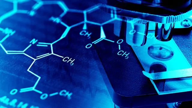 Calorex research web