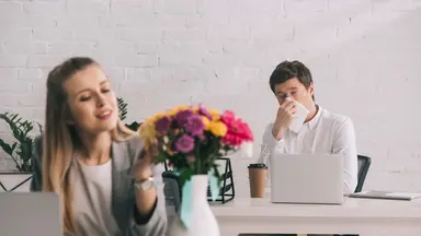 Heylo Insights Content pollen