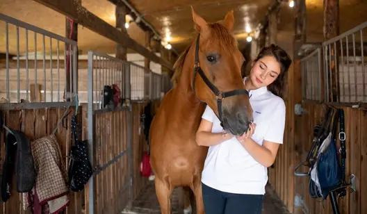 Control de humedad y secado para graneros y establos