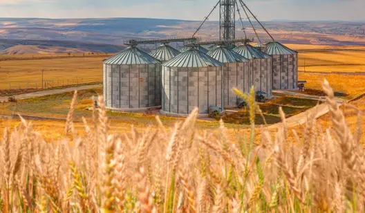 Kylningslösningar för spannmålslagring