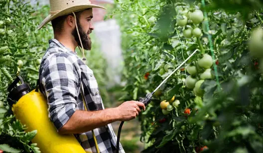 Kylningslösningar för jordbruksbyggnader