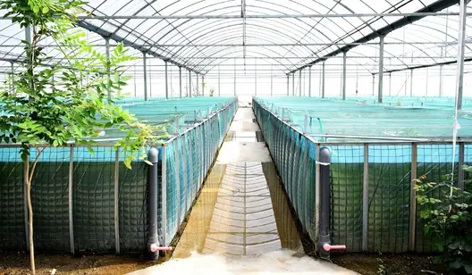 Ventilation solutions for fish farming and aquaculture