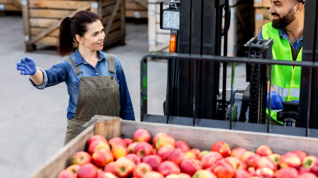 Air cleaning solutions for grain and crop storage