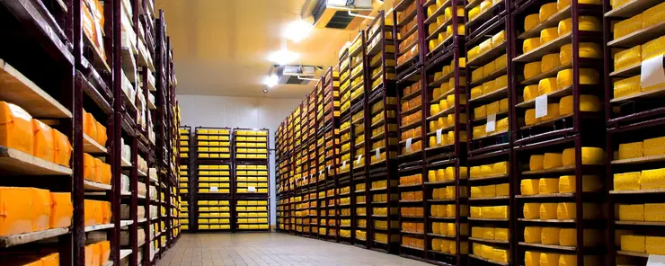 Fugtregulering og tørring til ostemodning og mejerier