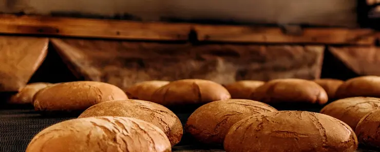 Control de la humedad para secar aire comprimido en la producción de alimentos