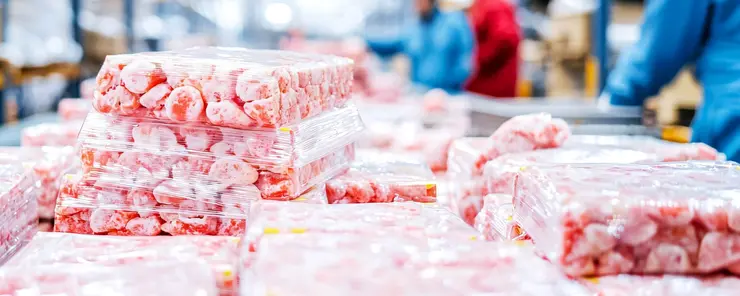 Controllo dell'umidità e asciugatura per tunnel di liofilizzazione e celle frigorifere