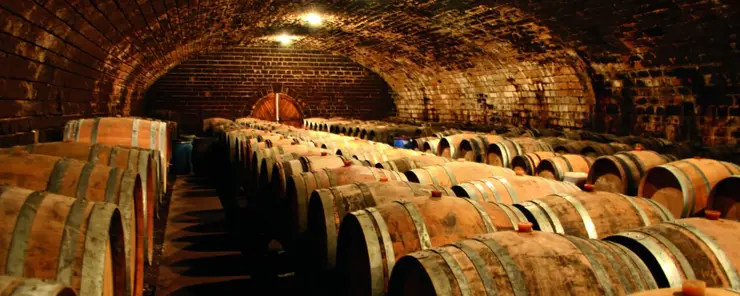 T3 humidity control and drying for wine cellars and breweries