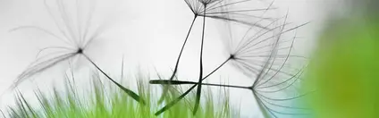 Hero Air exchange rate calculator 848x246px