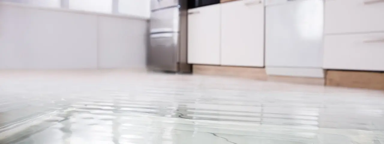 Water damage restoration air cleaning solutions by Dantherm Group