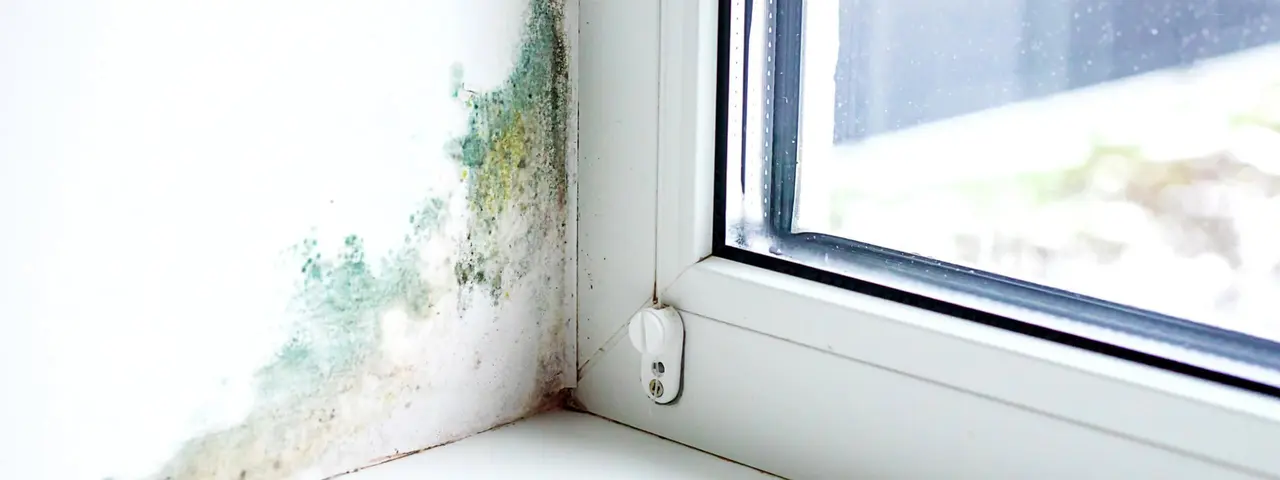 Water damage restoration disinfection solutions by Dantherm Group