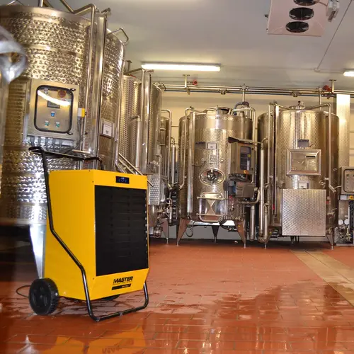 Master DH osuszanie winiarni