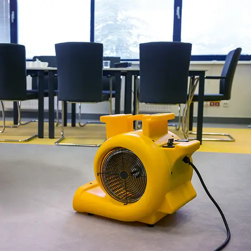 Master CD 5000 essiccazione tappeti