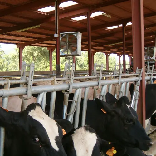 Master VGXL VGXP instalación de establos